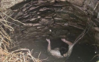 Se cayó en un pozo y vivió una pesadilla durante 54 horas: «El fondo estaba completamente oscuro, lleno de mosquitos, e incluso había serpientes»