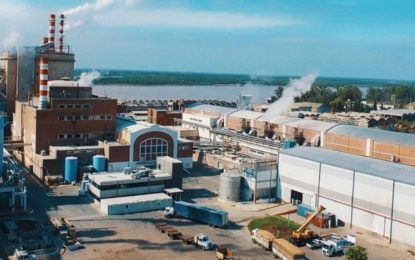 Preocupación en Celulosa Argentina: tras venderse por US$ 1, sigue parada y es incierta su reactivación