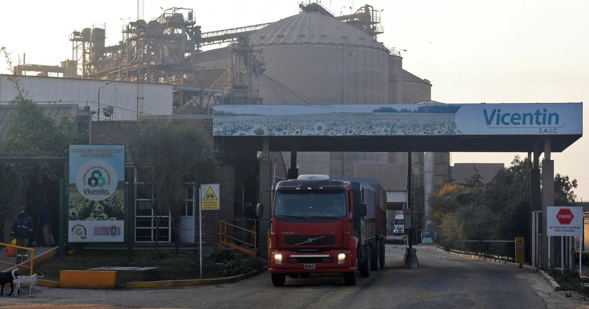 la-competencia-por-vicentin,-a-favor-de-los-acreedores