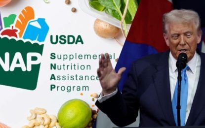 Beneficiarios de SNAP: cómo es la demanda masiva a la administración de Trump, los 25 estados demandantes, quiénes encabezan el reclamo y cómo podría afectarte