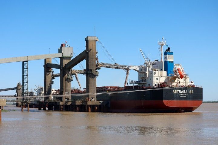 Argentina exportó 12 millones de toneladas de poroto de soja a China este año, cuatro veces más que el promedio de los últimos 10 años. EFE/ Juan Ignacio Roncoroni 