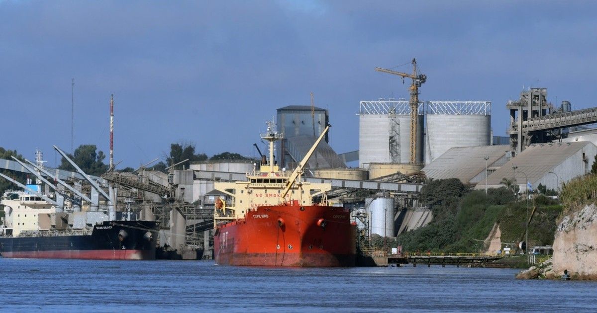 se-desplomo-la-liquidacion-de-divisas-del-campo-tras-la-finalizacion-de-las-retenciones-cero