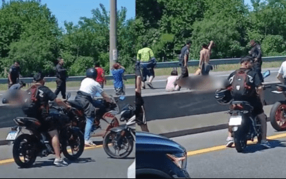 Trágico accidente en la autopista: un nene murió atropellado por un auto y el conductor fue detenido