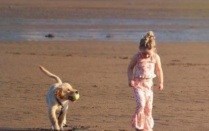 Descubren beneficios para la salud de los chicos que crecen con perros