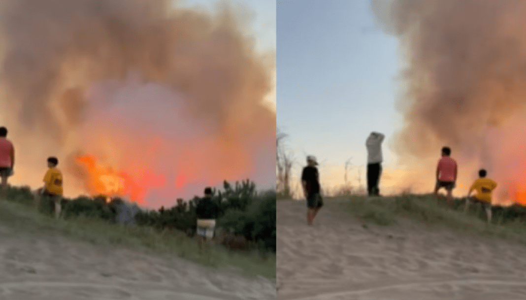 se-desato-un-voraz-incendio-en-pinamar-y-el-viento-complico-la-tarea-de-los-bomberos