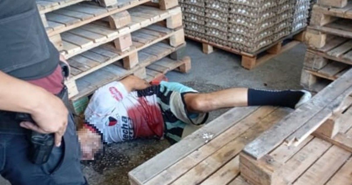 «ya-esta,-hermano,-me-rompiste-la-panza»:-la-suplica-de-un-ladron-baleado-en-un-deposito-de-huevos-en-parque-avellaneda