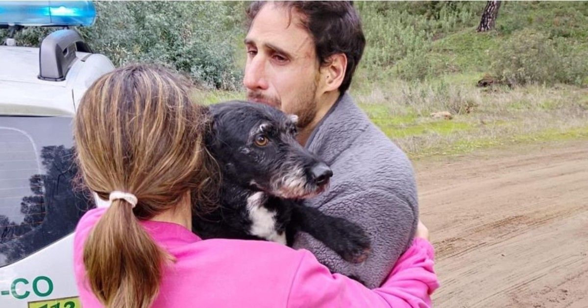 encontraron-a-boro,-el-perro-perdido-tras-el-accidente-de-trenes-en-espana