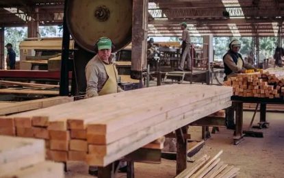 Machagai en alerta por una cautelar que paraliza la industria maderera
